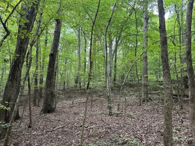 Lakeside Living at Oak Hill Oasis On Kerr Lake, VA - image 11