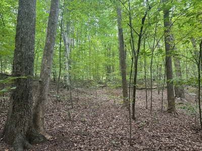 Lakeside Living at Oak Hill Oasis On Kerr Lake, VA - image 9