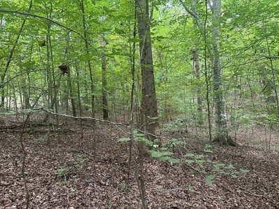 Lakeside Living at Oak Hill Oasis On Kerr Lake, VA - image 10