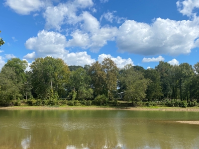 Waterfront Lot For Sale In Savannah, Tn On Indian Creek - image 1