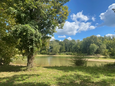 Waterfront Lot For Sale In Savannah, Tn On Indian Creek - image 11