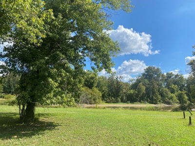 Waterfront Lot For Sale In Savannah, Tn On Indian Creek - image 9
