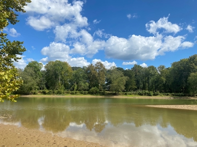 Waterfront Lot For Sale In Savannah, Tn On Indian Creek - image 3