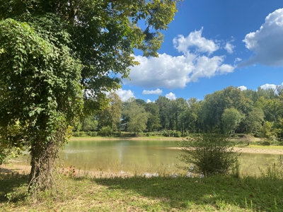 Waterfront Lot For Sale In Savannah, Tn On Indian Creek - image 12