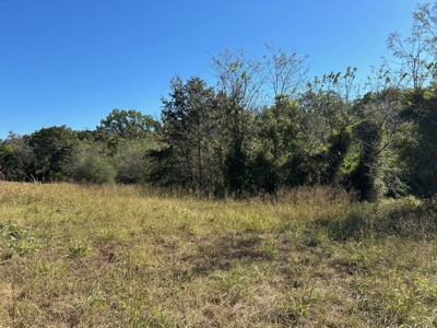 20 acres m/l of gorgeous oak woods w/electric, well, septic - image 10