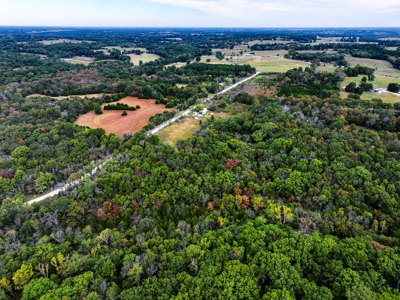 20 acres m/l of gorgeous oak woods w/electric, well, septic - image 3