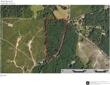32 Acres Land for Sale Amite County, Mississippi - image 9
