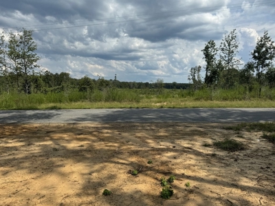 32 Acres Land for Sale Amite County, Mississippi - image 6