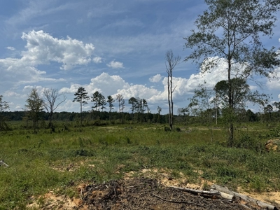 32 Acres Land for Sale Amite County, Mississippi - image 4