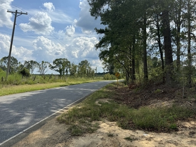 32 Acres Land for Sale Amite County, Mississippi - image 7