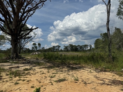 32 Acres Land for Sale Amite County, Mississippi - image 3