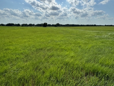 160 Acre Property! Tremendous Hay Producer! - image 1