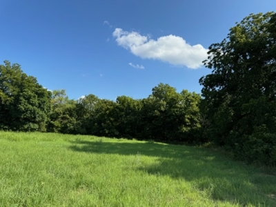 160 Acre Property! Tremendous Hay Producer! - image 19