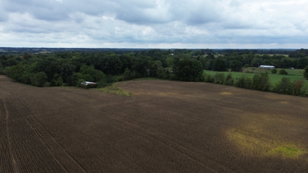 18.7 acres mostly tillable land for sale near Franklin, Ky - image 4