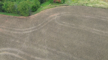 18.7 acres mostly tillable land for sale near Franklin, Ky - image 13