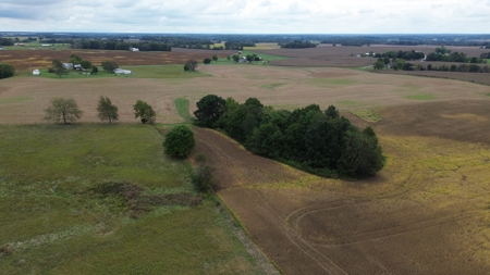18.7 acres mostly tillable land for sale near Franklin, Ky - image 11