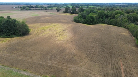 18.7 acres mostly tillable land for sale near Franklin, Ky - image 8