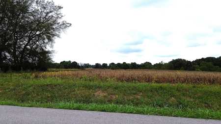 18.7 acres mostly tillable land for sale near Franklin, Ky - image 19
