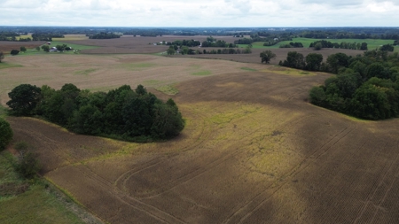 18.7 acres mostly tillable land for sale near Franklin, Ky - image 10