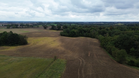18.7 acres mostly tillable land for sale near Franklin, Ky - image 7