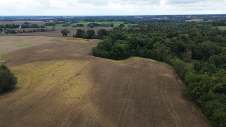 18.7 acres mostly tillable land for sale near Franklin, Ky - image 12
