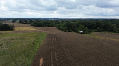 18.7 acres mostly tillable land for sale near Franklin, Ky - image 5