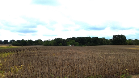 18.7 acres mostly tillable land for sale near Franklin, Ky - image 17