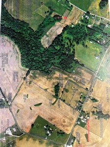 18.7 acres mostly tillable land for sale near Franklin, Ky - image 1