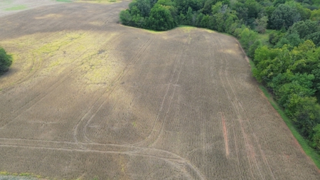 18.7 acres mostly tillable land for sale near Franklin, Ky - image 9