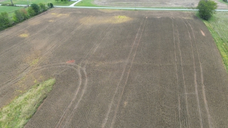 18.7 acres mostly tillable land for sale near Franklin, Ky - image 15