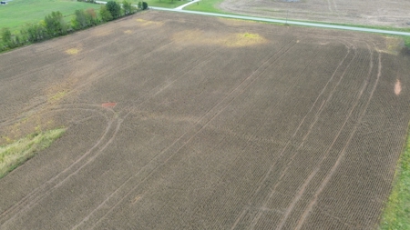 18.7 acres mostly tillable land for sale near Franklin, Ky - image 14
