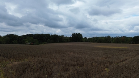 18.7 acres mostly tillable land for sale near Franklin, Ky - image 3