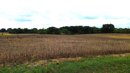 18.7 acres mostly tillable land for sale near Franklin, Ky - image 18
