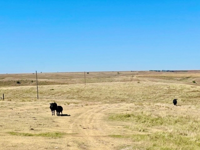 Frontier County Nebraska Farm/Ranch Combination For Sale - image 20