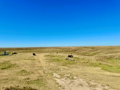 Frontier County Nebraska Farm/Ranch Combination For Sale - image 12