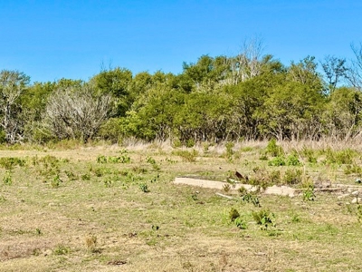 Frontier County Nebraska Farm/Ranch Combination For Sale - image 13