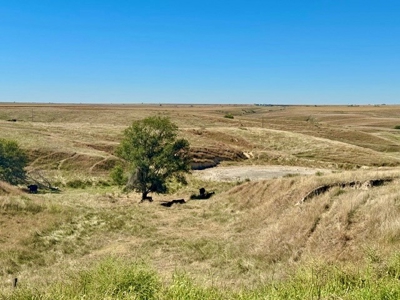 Frontier County Nebraska Farm/Ranch Combination For Sale - image 9