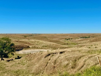 Frontier County Nebraska Farm/Ranch Combination For Sale - image 11