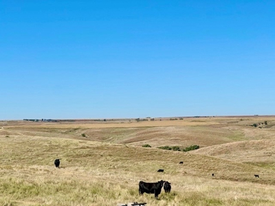 Frontier County Nebraska Farm/Ranch Combination For Sale - image 23