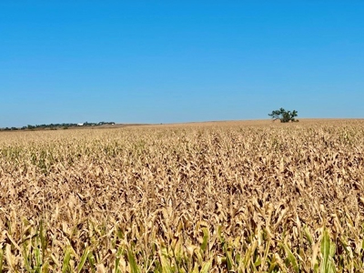 Frontier County Nebraska Farm/Ranch Combination For Sale - image 8