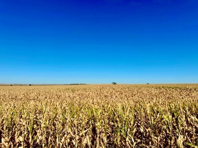 Frontier County Nebraska Farm/Ranch Combination For Sale - image 19