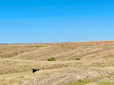 Frontier County Nebraska Farm/Ranch Combination For Sale - image 16