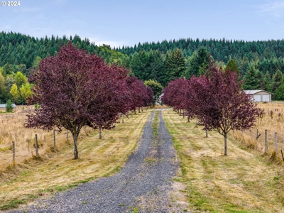 Incredible Country Living - Build Your Dream Home! - image 10