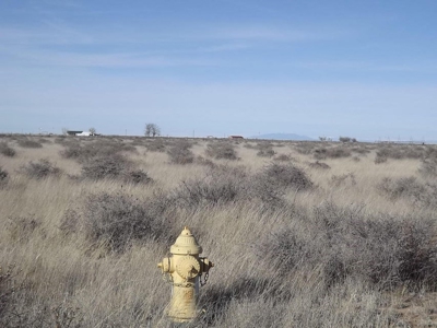 2-Acre Home Sites For Sale in Estancia, New Mexico - image 2