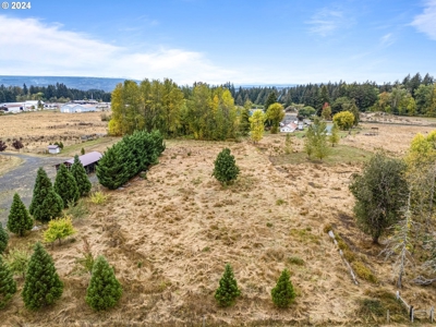 12-Acre Residential Land With Utilities -  Nearby Toledo, WA - image 25
