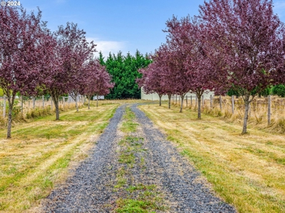 12-Acre Residential Land With Utilities -  Nearby Toledo, WA - image 9