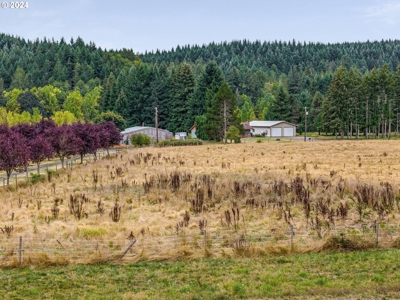 12-Acre Residential Land With Utilities -  Nearby Toledo, WA - image 31