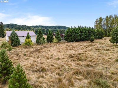 12-Acre Residential Land With Utilities -  Nearby Toledo, WA - image 24