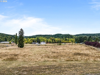 12-Acre Residential Land With Utilities -  Nearby Toledo, WA - image 23