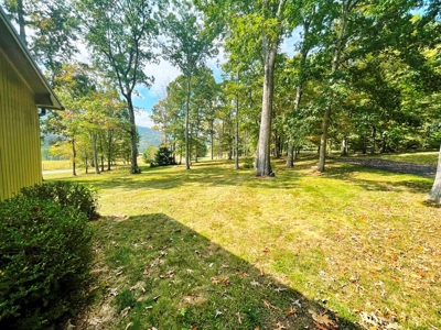 Home For Sale In Crockett's Cove Wytheville VA - image 45